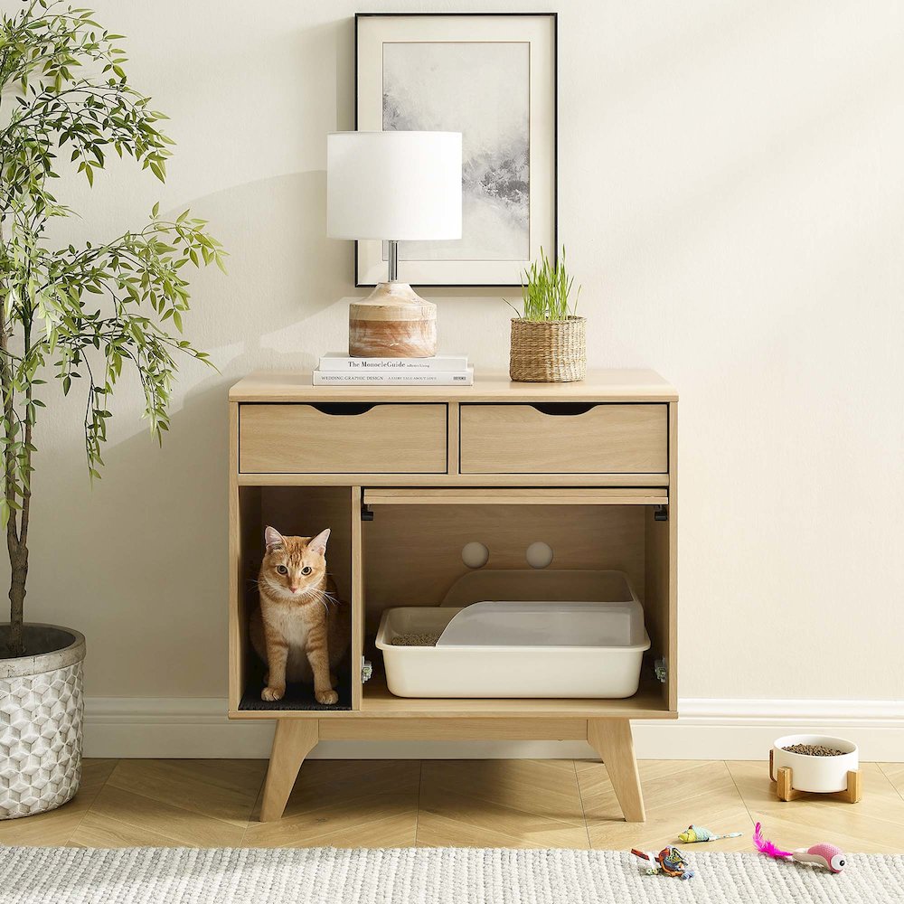 Render Cat Cabinet. Picture 12