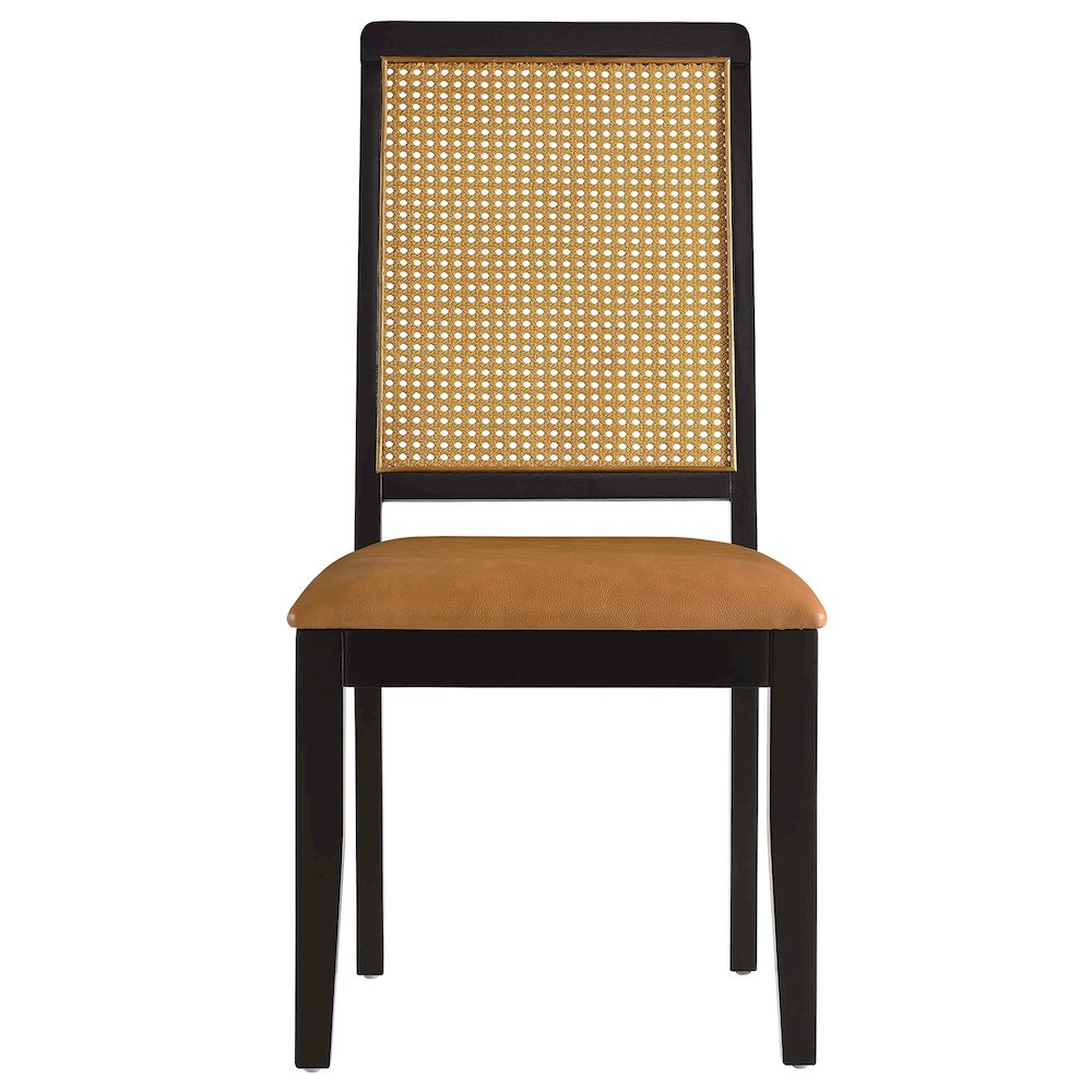 Arlo Vegan Leather Upholstered Faux Rattan and Wood Dining Side Chairs Set of 2. Picture 7