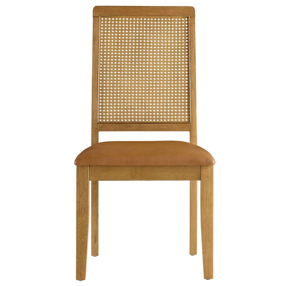 Arlo Vegan Leather Upholstered Faux Rattan and Wood Dining Side Chairs Set of 2. Picture 8