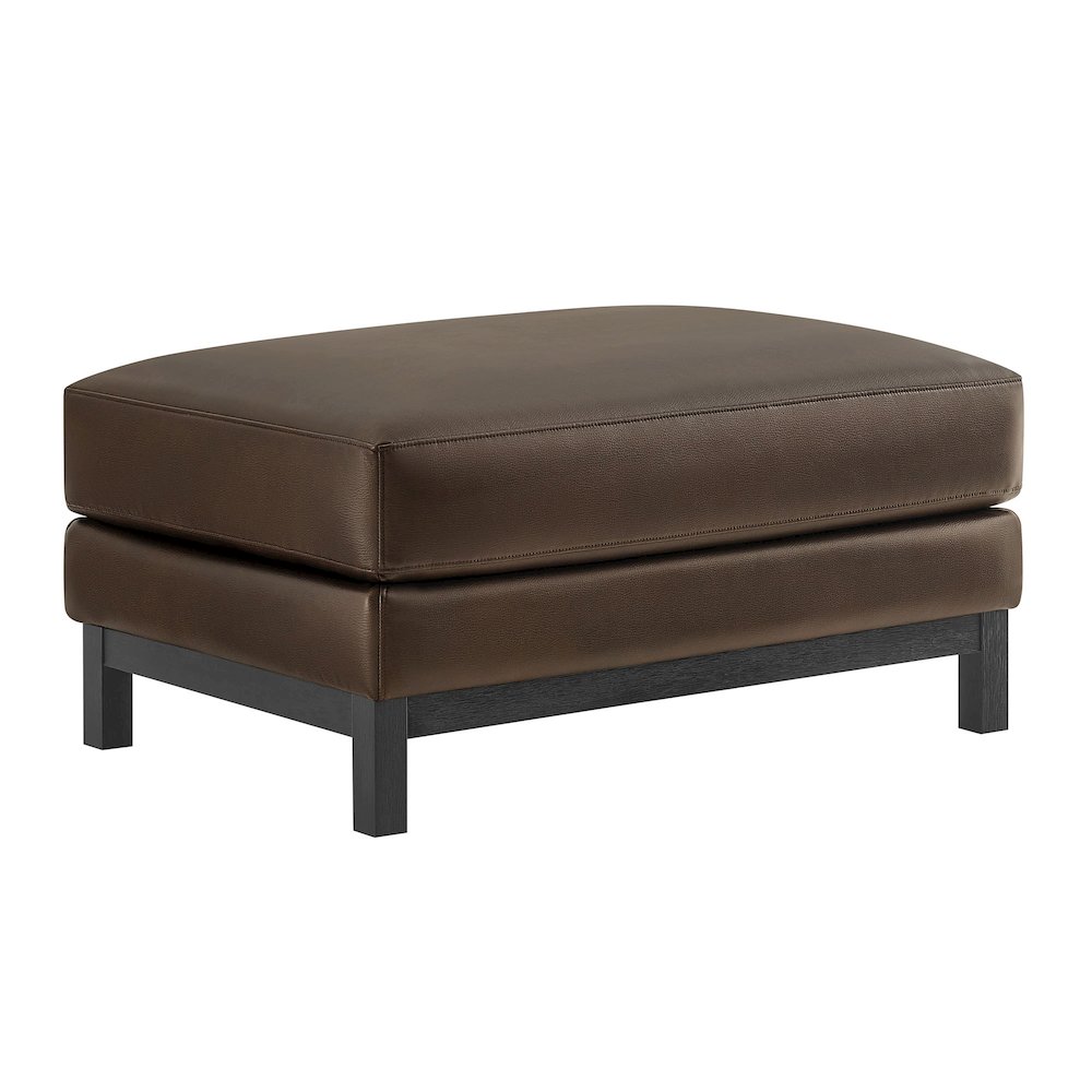 Roscoe Vegan Leather Ottoman. Picture 1