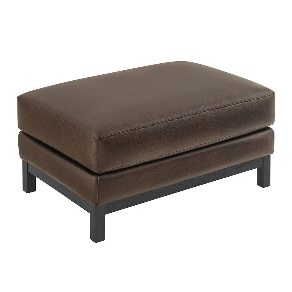 Roscoe Vegan Leather Ottoman. Picture 4