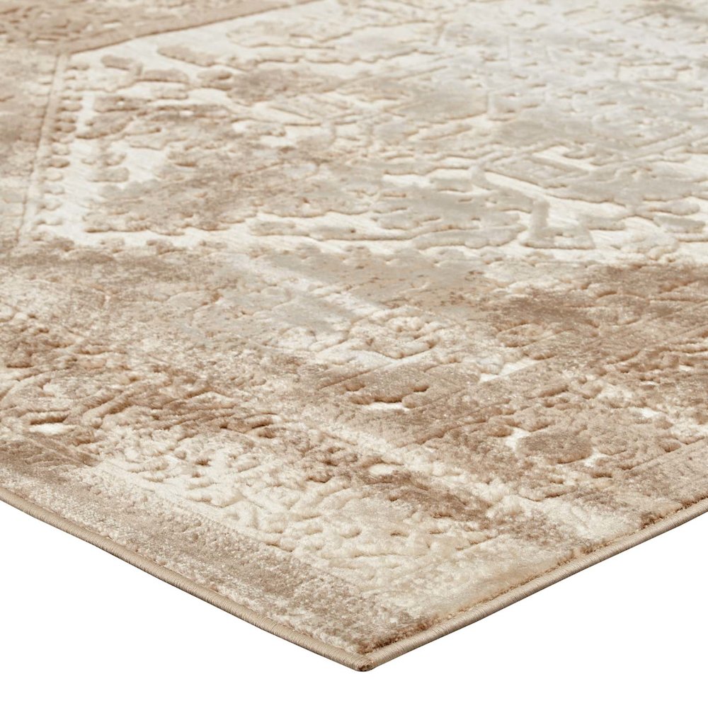 Rosina Distressed Vintage Medallion 5x8 Area Rug. Picture 3