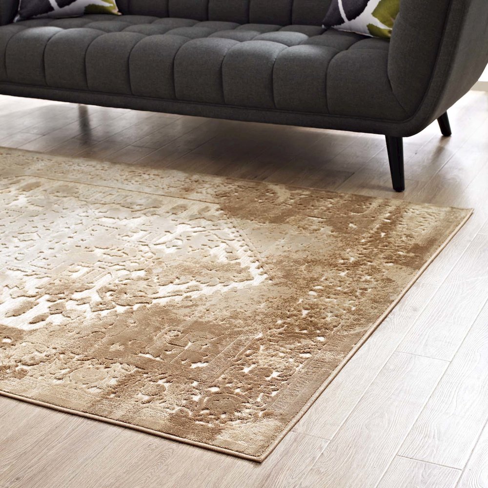 Rosina Distressed Vintage Medallion 5x8 Area Rug. Picture 7
