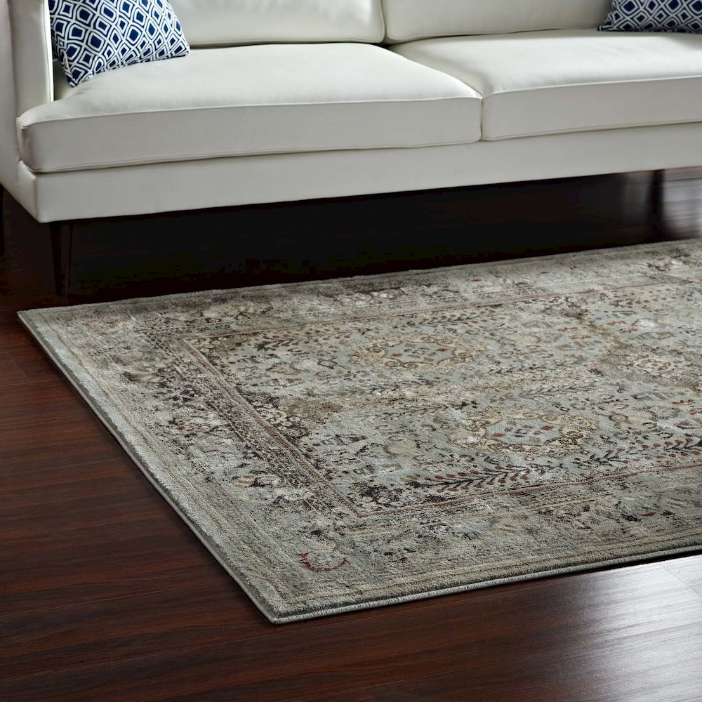 Enye Distressed Vintage Floral Lattice 8x10 Area Rug. Picture 7