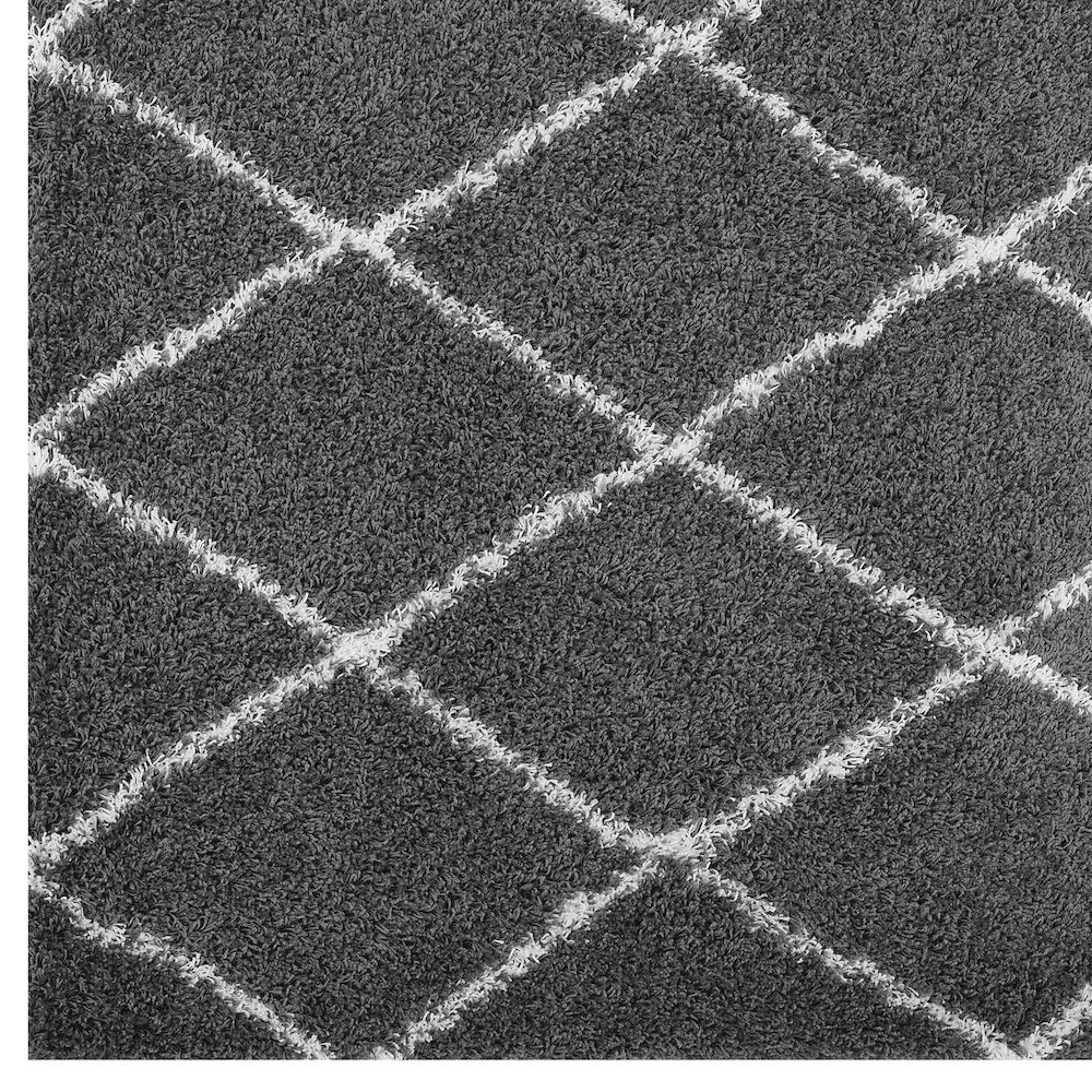 Toryn Diamond Lattice 5x8 Shag Area Rug. Picture 2