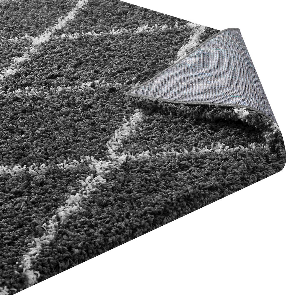 Toryn Diamond Lattice 5x8 Shag Area Rug. Picture 4