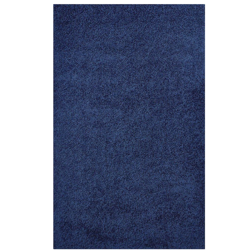 Enyssa Solid 5x8 Shag Area Rug. Picture 1