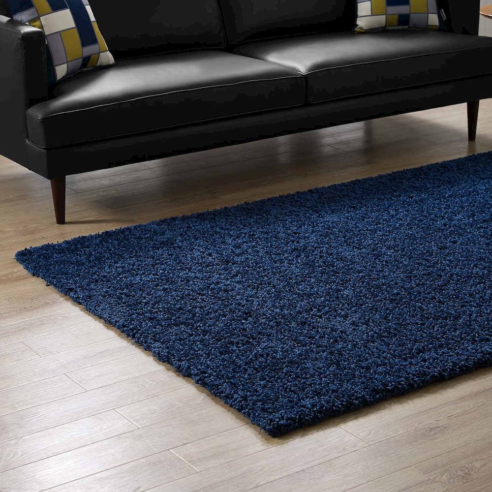 Enyssa Solid 5x8 Shag Area Rug. Picture 7