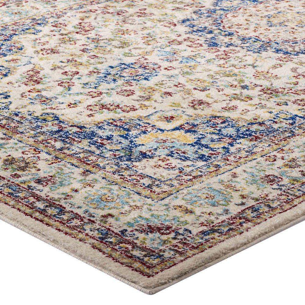 Meryam Distressed Vintage Medallion 5x8 Area Rug. Picture 3