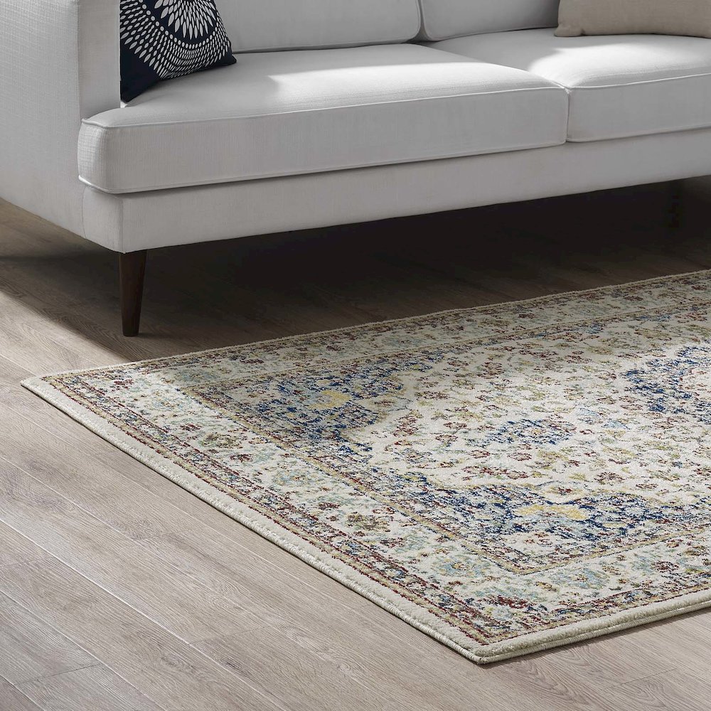 Meryam Distressed Vintage Medallion 5x8 Area Rug. Picture 7