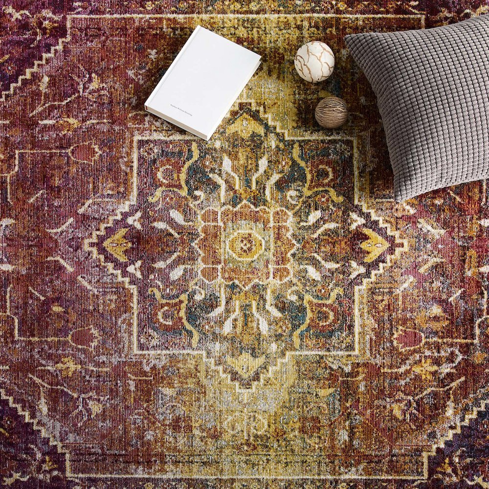Kaede Transitional Distressed Vintage Floral Vintage Medallion 4x6 Area Rug. Picture 8
