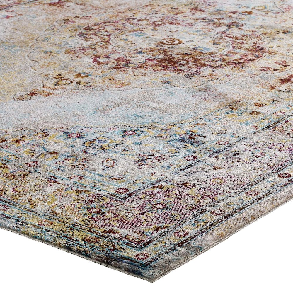 Success Merritt Transitional Distressed Floral Vintage Medallion 5x8 Area Rug. Picture 3