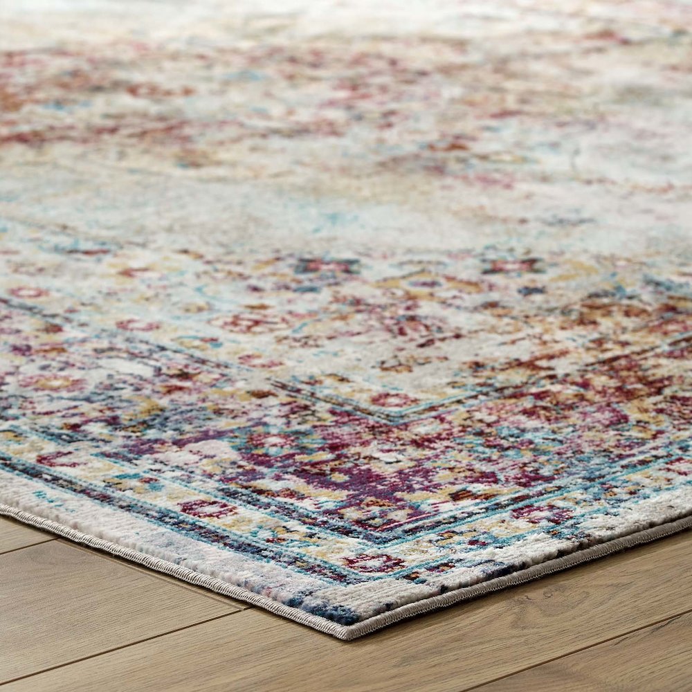 Success Merritt Transitional Distressed Floral Vintage Medallion 5x8 Area Rug. Picture 7