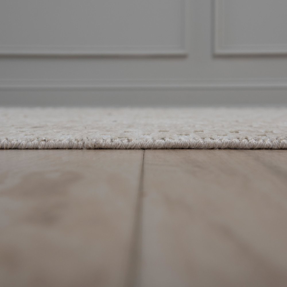 5' x 8' Cut High Low Pile Hand Loomed Rug. Picture 5