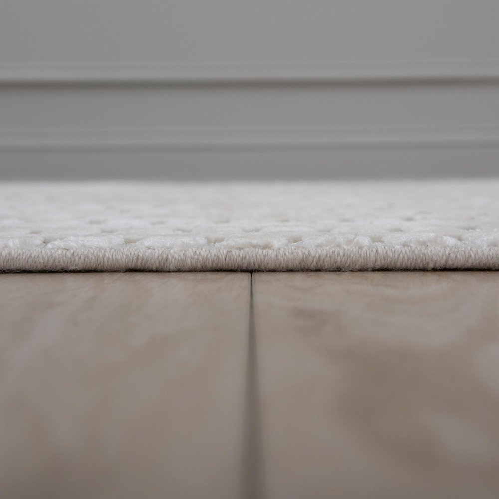 8' x 10' Cut High Low Pile Hand Loomed Rug. Picture 4