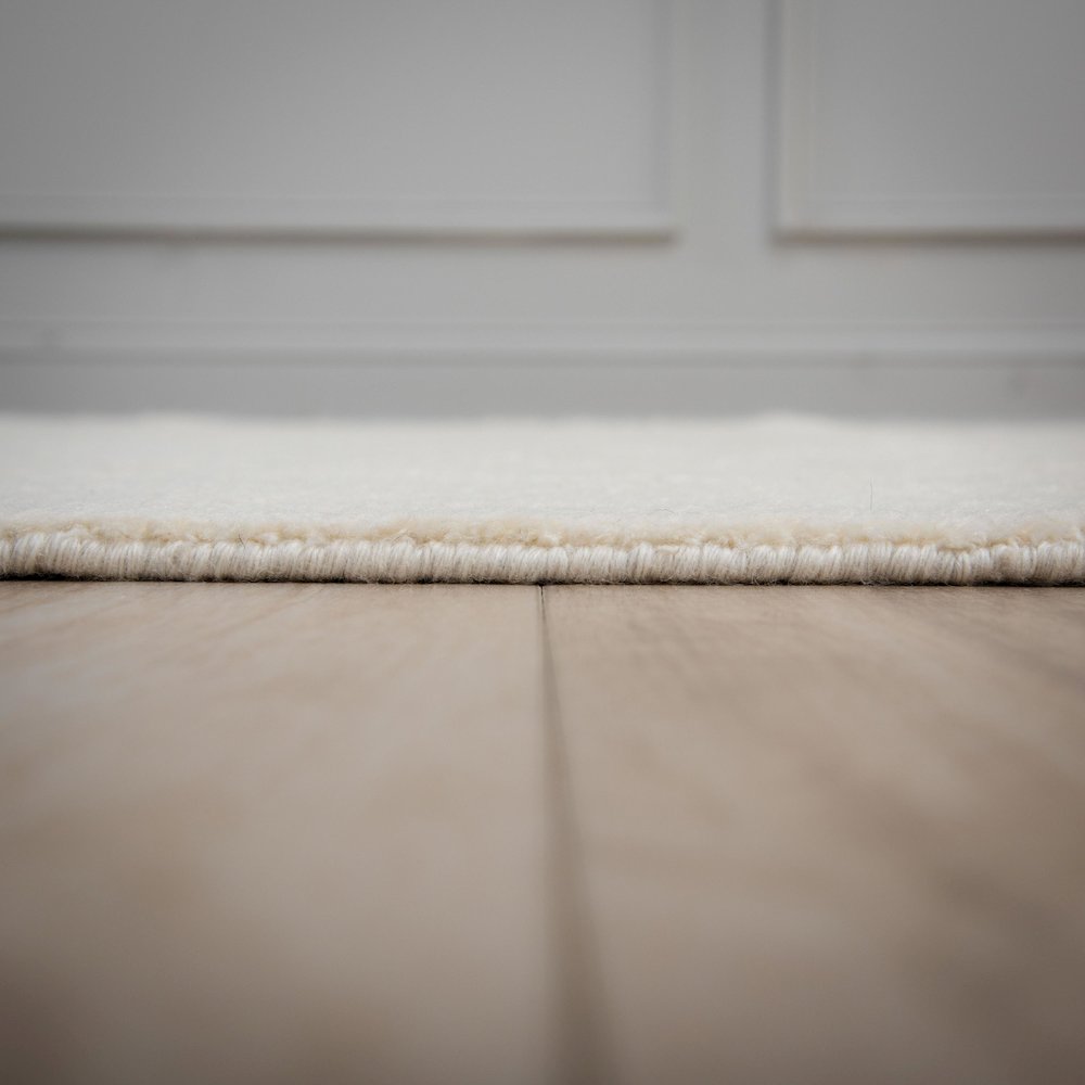 8' x 10' Cut Pile Hand Loomed Rug. Picture 4
