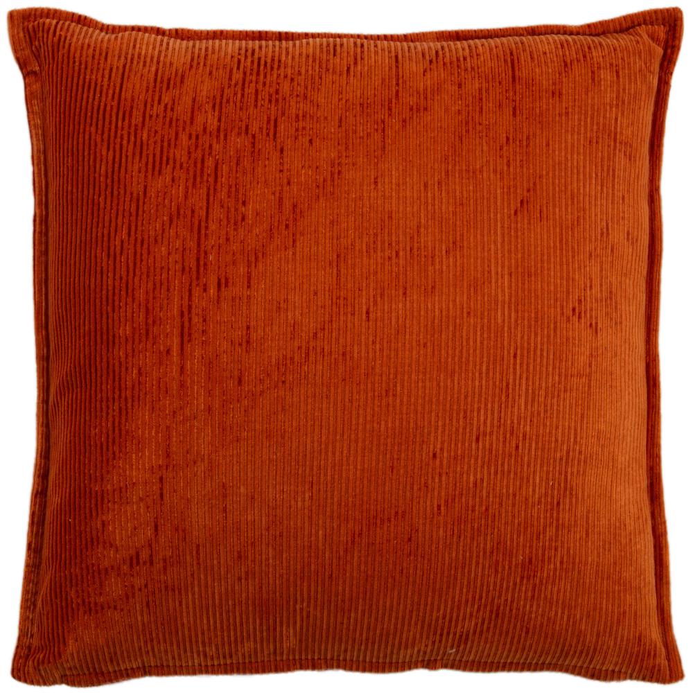 20" x 20" indoor pillow. Picture 1