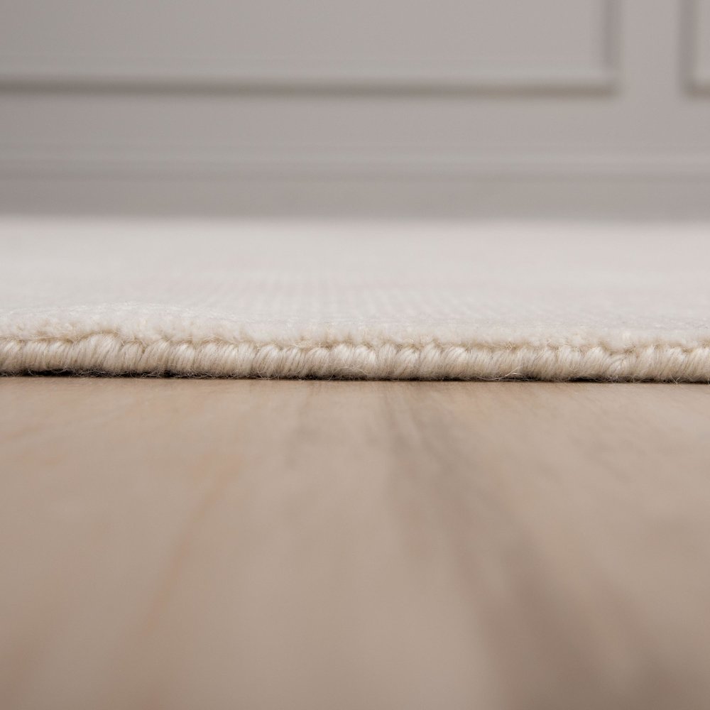 8'9" x 11'9" Loop Pile Hand Loomed Rug. Picture 4