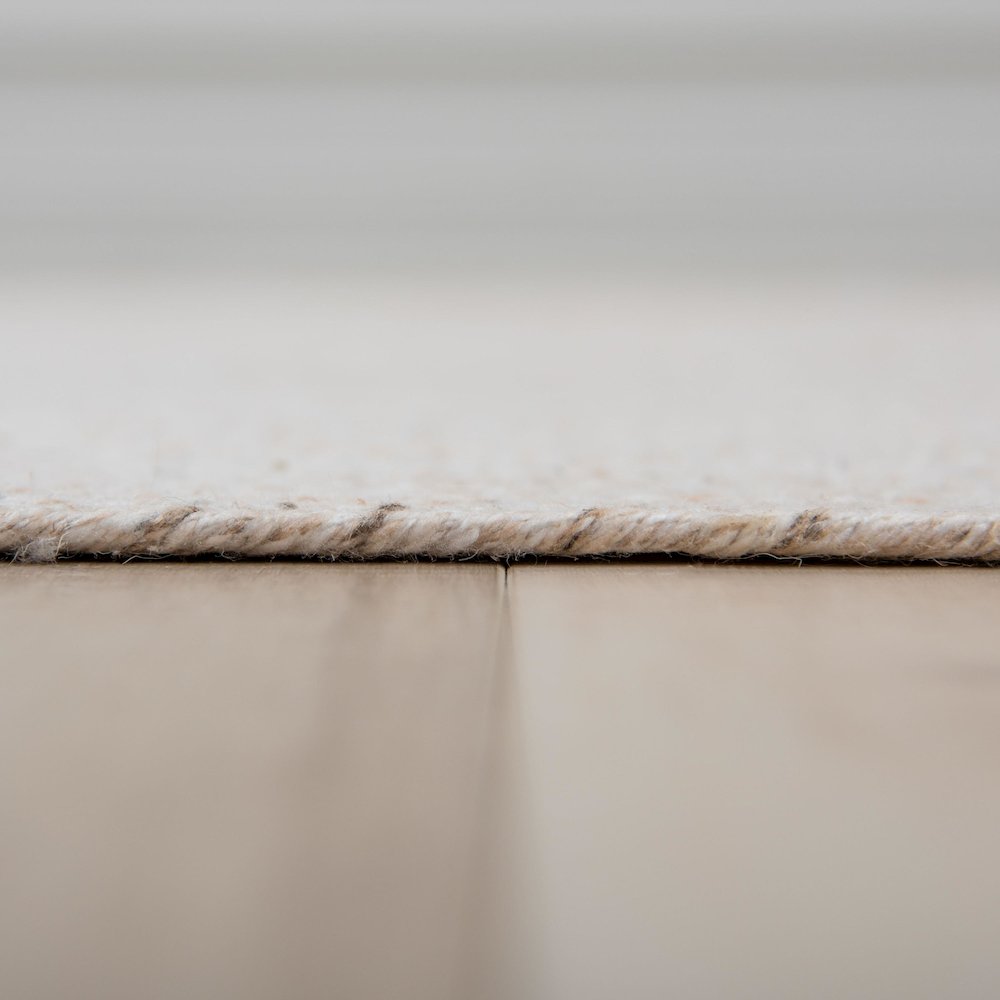 8'9" x 11'9" Flat Weave Pile Hand Woven Rug. Picture 4