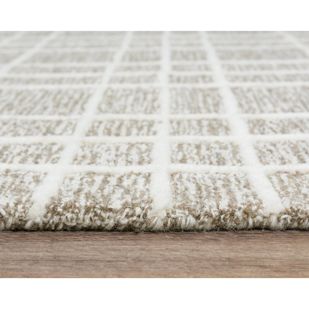 8'9" x 11'9" Cut & Loop Pile Hand Tufted Rug. Picture 4