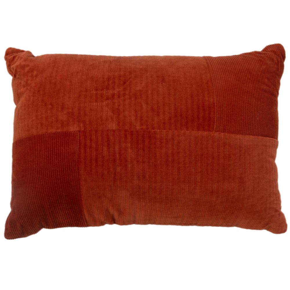 14" X 20" indoor pillow. Picture 1