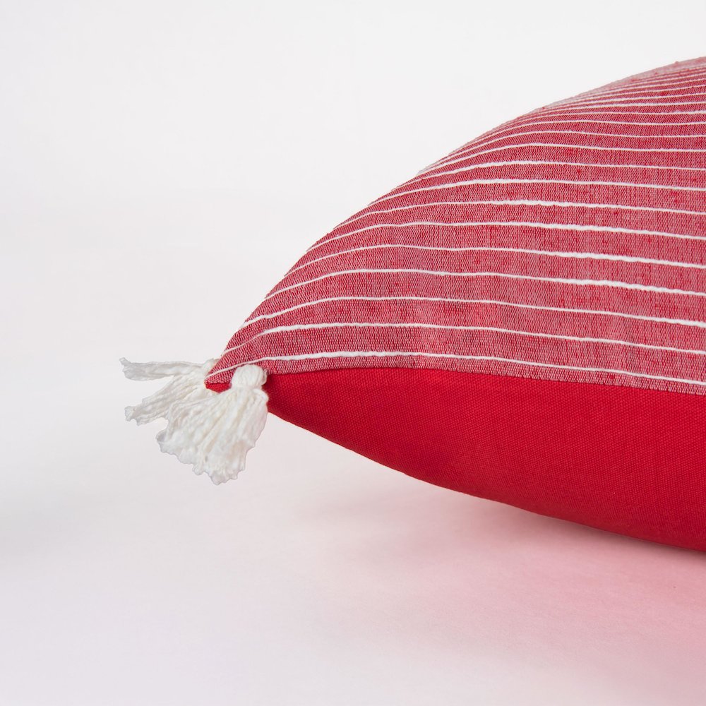 Transitional  20" x 20" Poly Filled Pillow. Picture 5