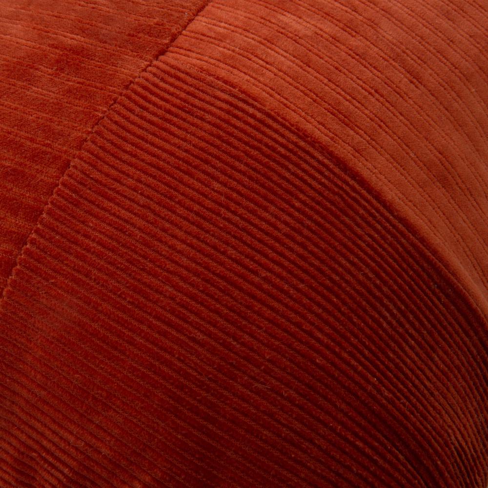 14" X 20" indoor pillow. Picture 3