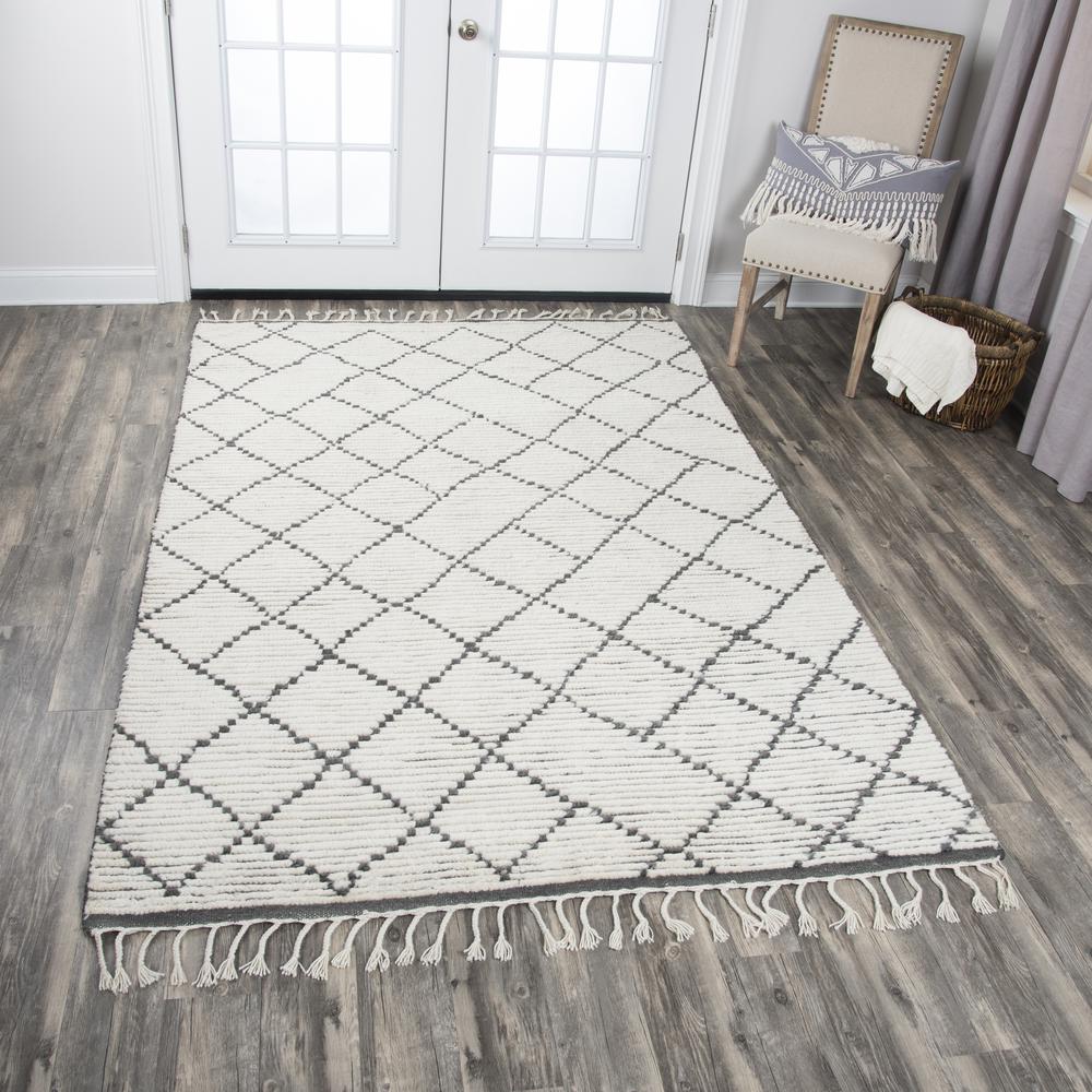 Nile Neutral 8'9" x 11'9" Hand-Knotted Rug- NI1000. Picture 8