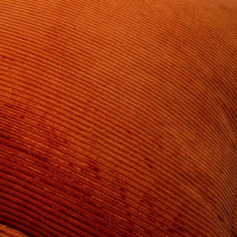 20" x 20" indoor pillow. Picture 2