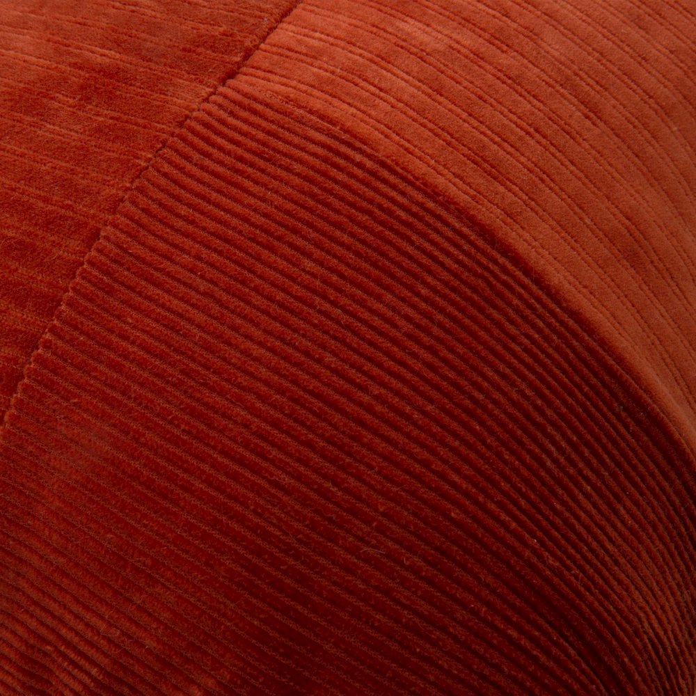 14" X 20" indoor pillow. Picture 2