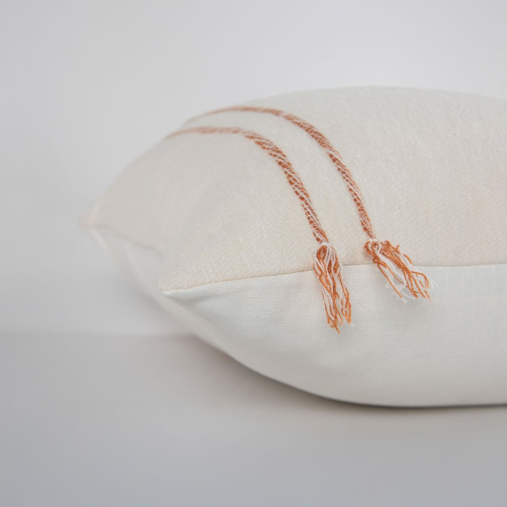 Transitional 20" x 20" Pillow Cover. Picture 6
