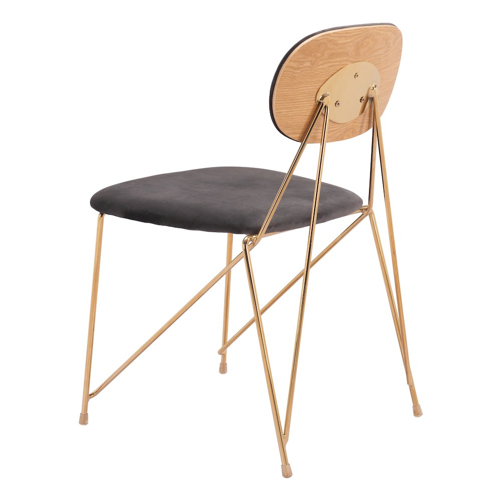 Georges Dining Chair (Set of 2) Gray & Gold. Picture 5