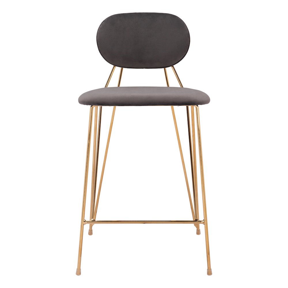 Georges Counter Stool (Set of 2) Gray & Gold. Picture 3