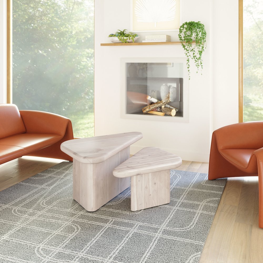 Navidic Coffee Table Set (2-Piece) Whitewashed. Picture 8