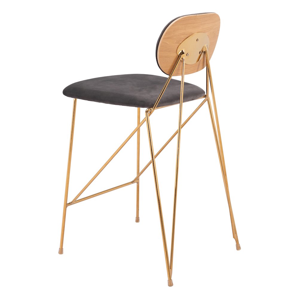 Georges Counter Stool (Set of 2) Gray & Gold. Picture 5