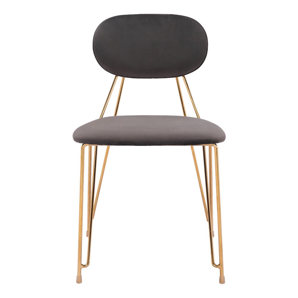 Georges Dining Chair (Set of 2) Gray & Gold. Picture 3