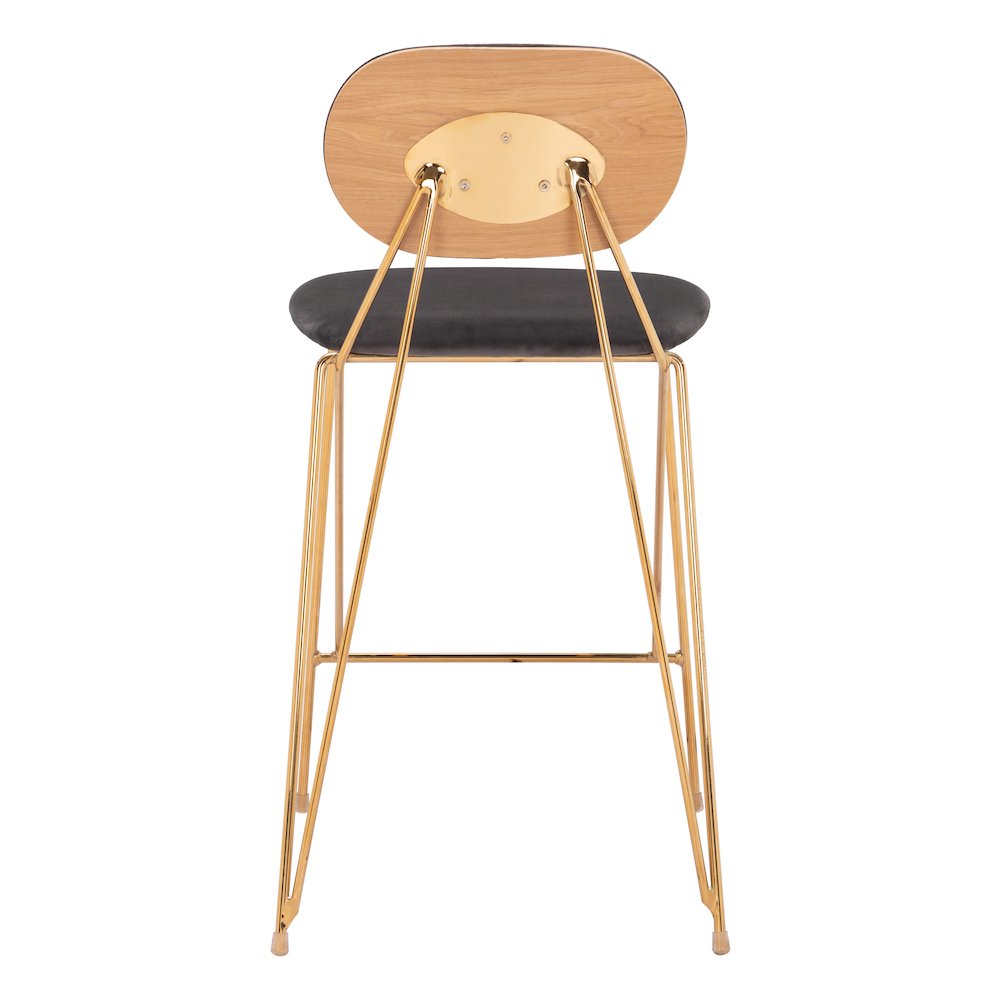 Georges Counter Stool (Set of 2) Gray & Gold. Picture 4