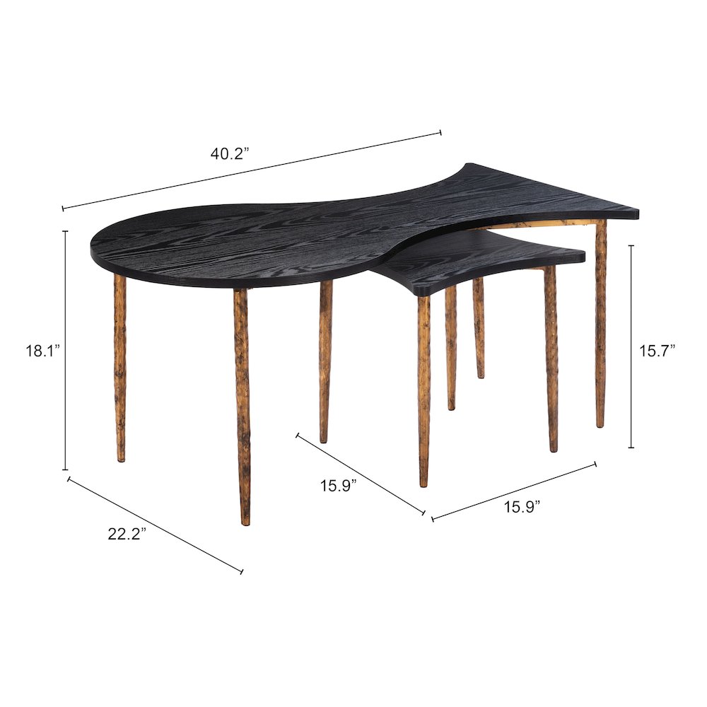 Norden Coffee Table Set (2-Piece) Black & Bronze. Picture 7