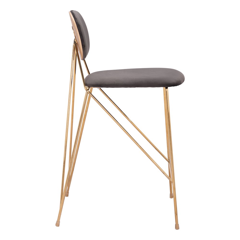 Georges Counter Stool (Set of 2) Gray & Gold. Picture 2