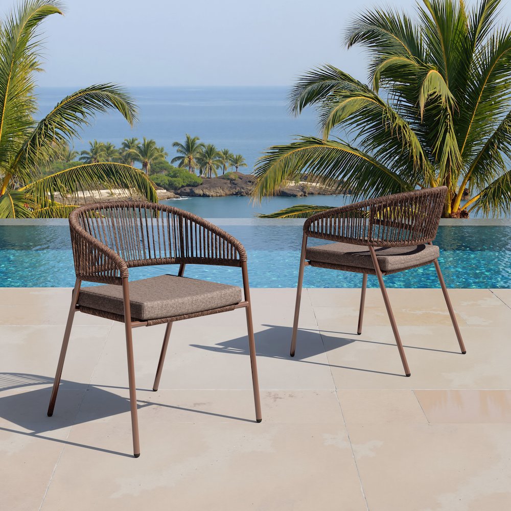 Skye Dining Chair (Set of 2) Brown. Picture 8