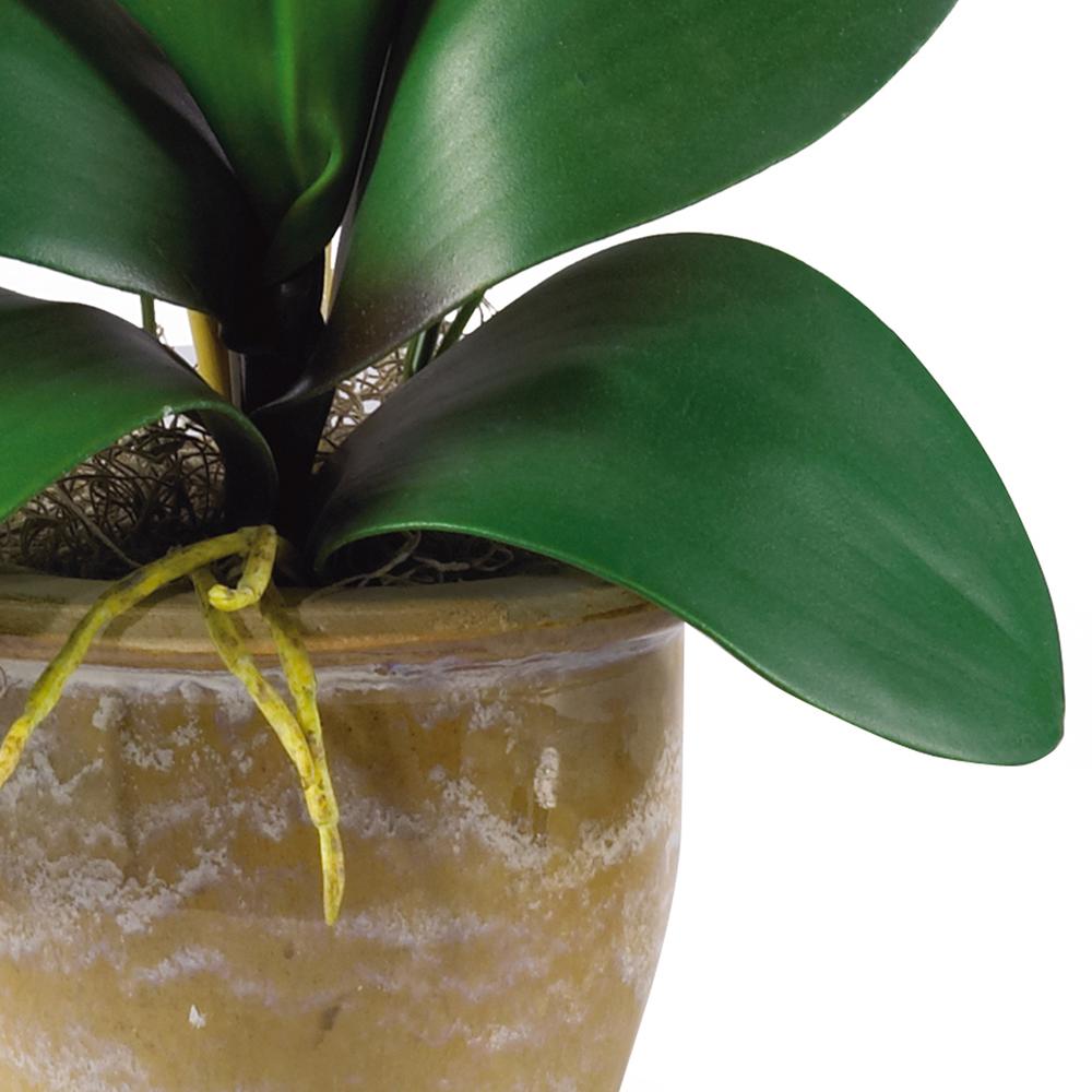 Phalaenopsis Silk Orchid Flower Arrangement. Picture 4