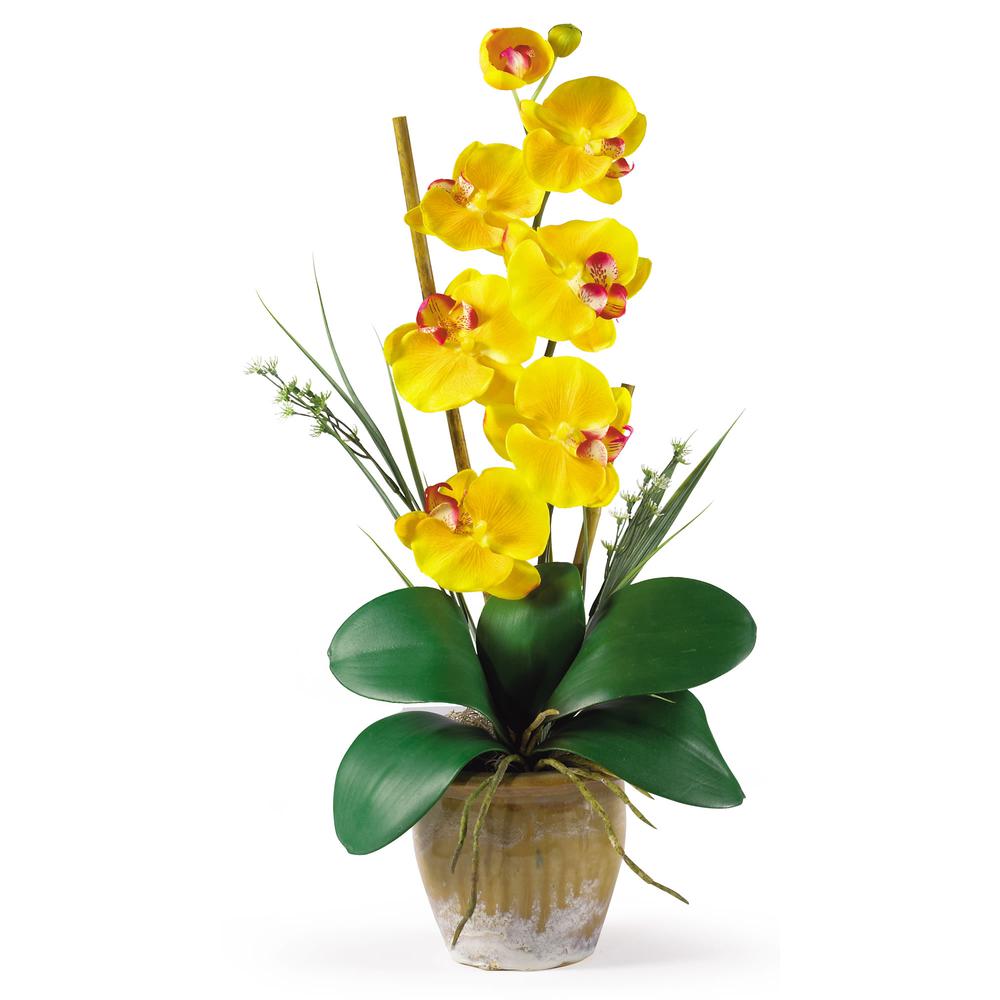 Phalaenopsis Silk Orchid Flower Arrangement - Yellow. Picture 3