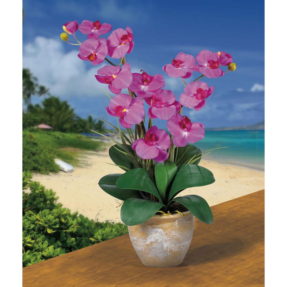 Double Phalaenopsis Silk Orchid Flower Arrangement - Pink. Picture 2