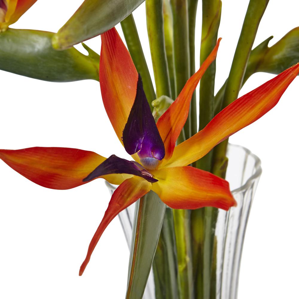 Large Bird of Paradise in Vase. Picture 5