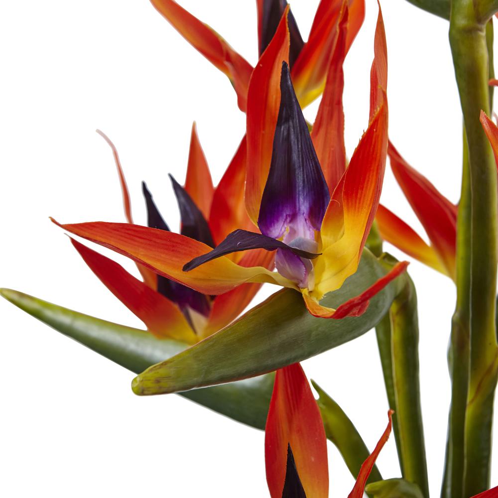 Large Bird of Paradise in Vase. Picture 3