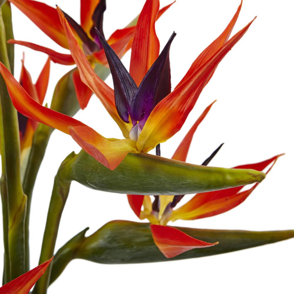 Large Bird of Paradise in Vase. Picture 4
