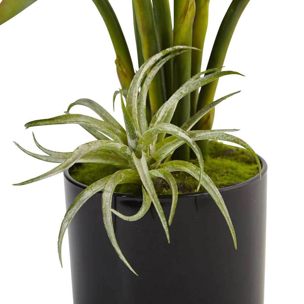 Bird of Paradise Silk Arrangement in Black Glossy Cylinder. Picture 2