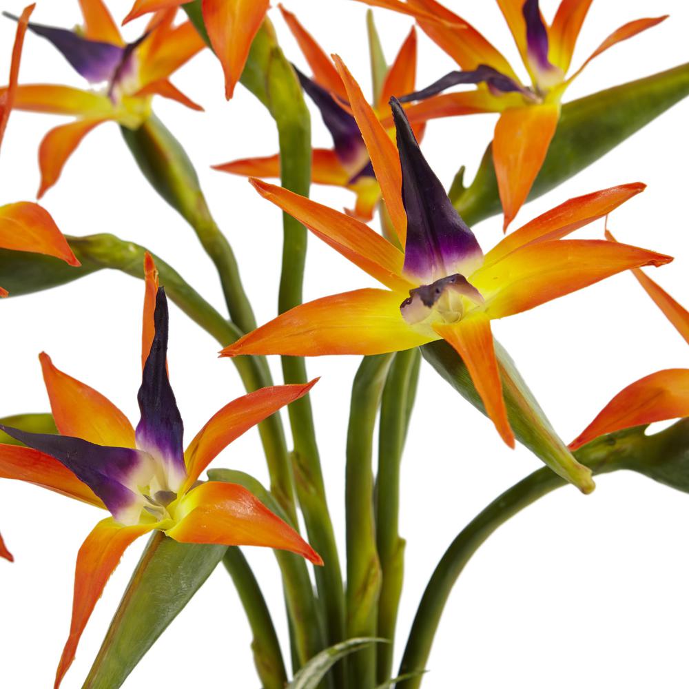 Bird of Paradise Silk Arrangement in Black Glossy Cylinder. Picture 3