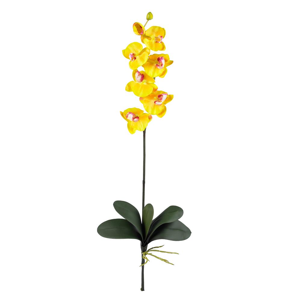 Phalaenopsis Stem (Set of 6). Picture 1