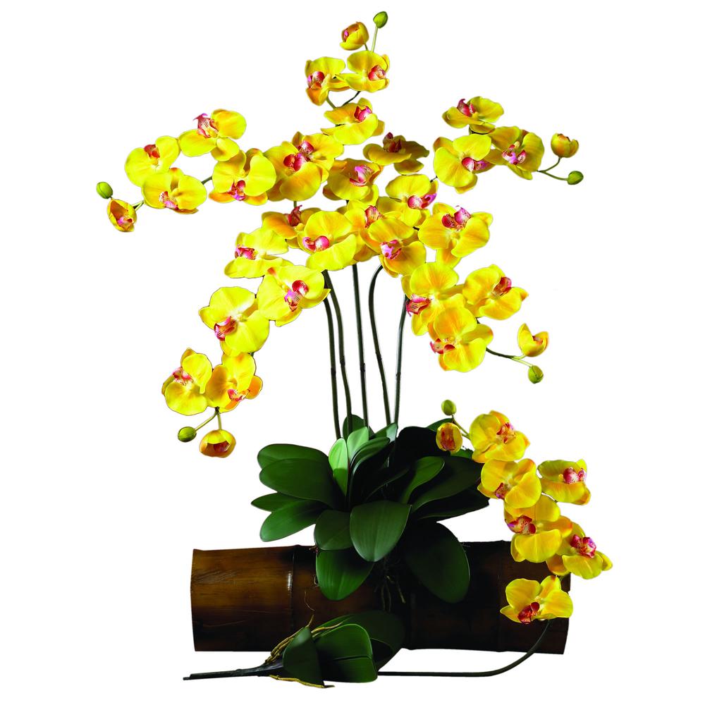 Phalaenopsis Stem (Set of 6). Picture 2